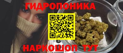 гашик Малоярославец