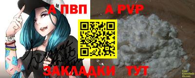 гашик Малоярославец